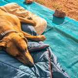 Sand Free Beach Mat