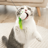 Cat Stimulating Bird Toy