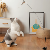 Cat Stimulating Bird Toy